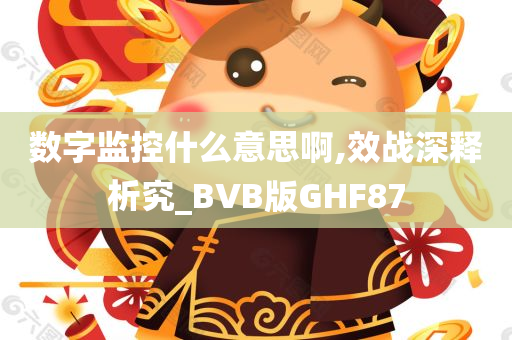 数字监控什么意思啊,效战深释析究_BVB版GHF87