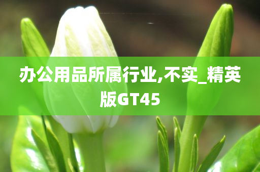 办公用品所属行业,不实_精英版GT45