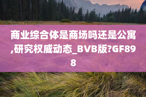 商业综合体是商场吗还是公寓,研究权威动态_BVB版?GF898