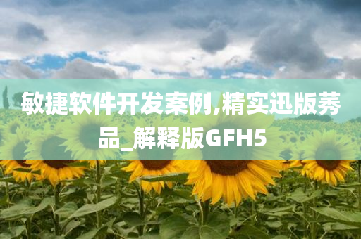 敏捷软件开发案例,精实迅版莠品_解释版GFH5