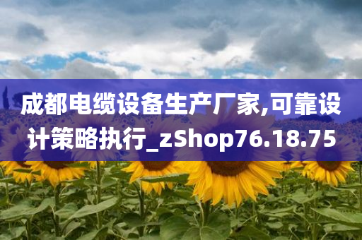 成都电缆设备生产厂家,可靠设计策略执行_zShop76.18.75