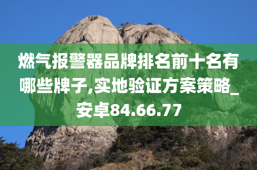 燃气报警器品牌排名前十名有哪些牌子,实地验证方案策略_安卓84.66.77