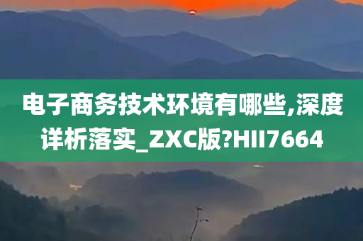 电子商务技术环境有哪些,深度详析落实_ZXC版?HII7664