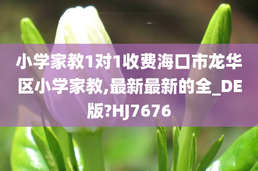 小学家教1对1收费海口市龙华区小学家教,最新最新的全_DE版?HJ7676