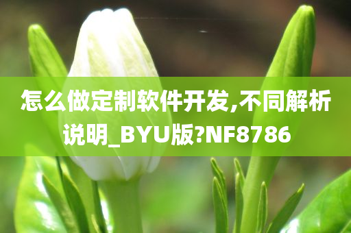 怎么做定制软件开发,不同解析说明_BYU版?NF8786