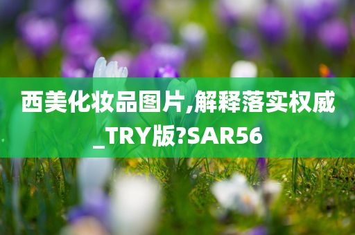 西美化妆品图片,解释落实权威_TRY版?SAR56