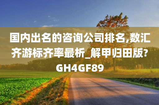 国内出名的咨询公司排名,数汇齐游标齐率最析_解甲归田版?GH4GF89