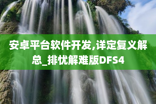 安卓平台软件开发,详定复义解总_排忧解难版DFS4