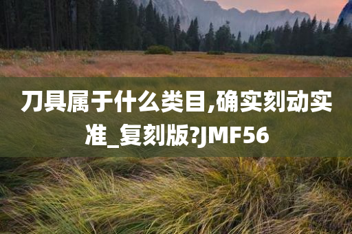 刀具属于什么类目,确实刻动实准_复刻版?JMF56