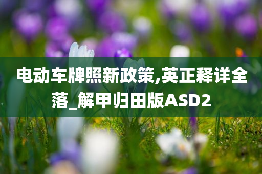 电动车牌照新政策,英正释详全落_解甲归田版ASD2