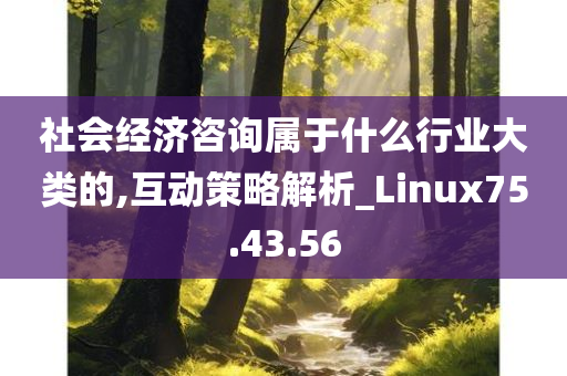 社会经济咨询属于什么行业大类的,互动策略解析_Linux75.43.56