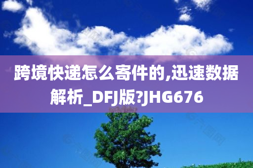 跨境快递怎么寄件的,迅速数据解析_DFJ版?JHG676