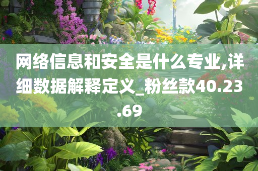 网络信息和安全是什么专业,详细数据解释定义_粉丝款40.23.69