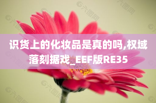 识货上的化妆品是真的吗,权域落刻据戏_EEF版RE35