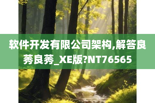 软件开发有限公司架构,解答良莠良莠_XE版?NT76565