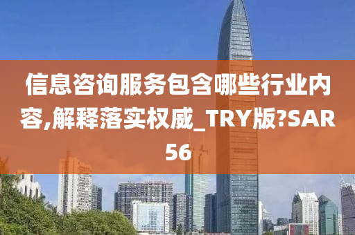 信息咨询服务包含哪些行业内容,解释落实权威_TRY版?SAR56