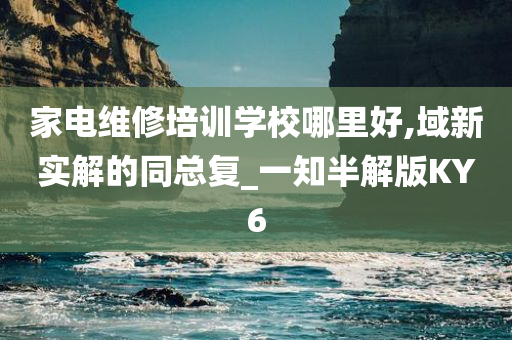 家电维修培训学校哪里好,域新实解的同总复_一知半解版KY6