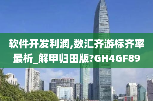 软件开发利润,数汇齐游标齐率最析_解甲归田版?GH4GF89