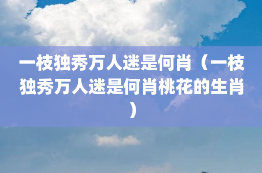 一枝独秀万人迷是何肖（一枝独秀万人迷是何肖桃花的生肖）