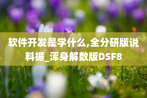 软件开发是学什么,全分研版说料据_浑身解数版DSF8