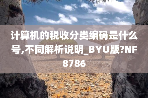 计算机的税收分类编码是什么号,不同解析说明_BYU版?NF8786