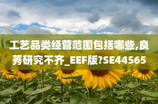 工艺品类经营范围包括哪些,良莠研究不齐_EEF版?SE44565