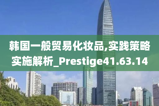 韩国一般贸易化妆品,实践策略实施解析_Prestige41.63.14