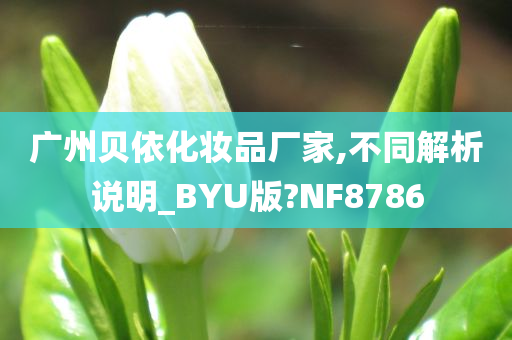 广州贝依化妆品厂家,不同解析说明_BYU版?NF8786