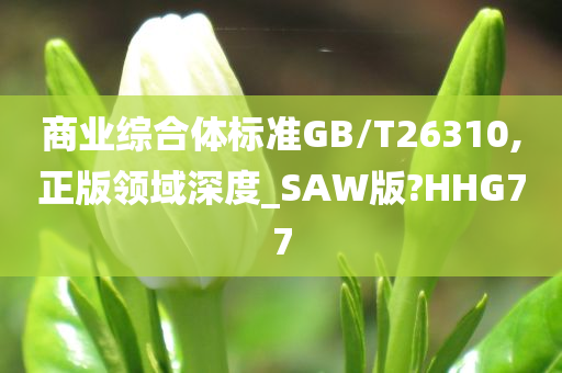 商业综合体标准GB/T26310,正版领域深度_SAW版?HHG77