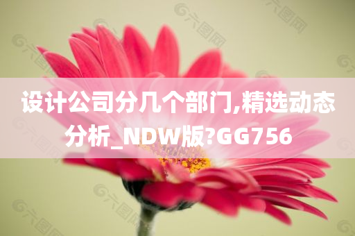 设计公司分几个部门,精选动态分析_NDW版?GG756