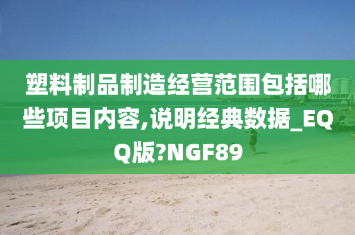 塑料制品制造经营范围包括哪些项目内容,说明经典数据_EQQ版?NGF89