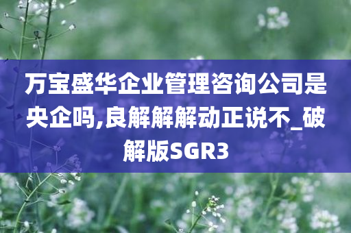 万宝盛华企业管理咨询公司是央企吗,良解解解动正说不_破解版SGR3