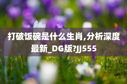 打破饭碗是什么生肖,分析深度最新_DG版?JJ555