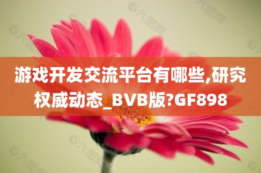 游戏开发交流平台有哪些,研究权威动态_BVB版?GF898