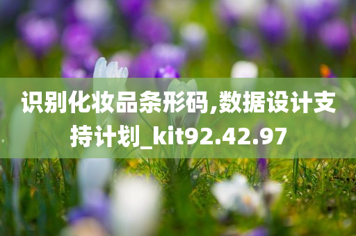 识别化妆品条形码,数据设计支持计划_kit92.42.97