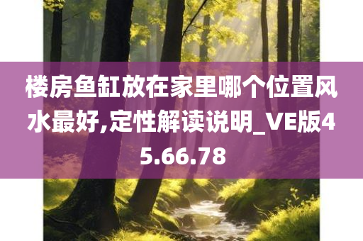 楼房鱼缸放在家里哪个位置风水最好,定性解读说明_VE版45.66.78