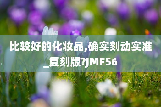 比较好的化妆品,确实刻动实准_复刻版?JMF56