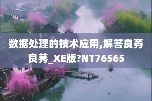 数据处理的技术应用,解答良莠良莠_XE版?NT76565