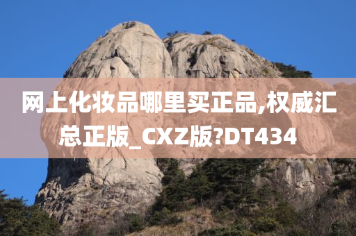 网上化妆品哪里买正品,权威汇总正版_CXZ版?DT434