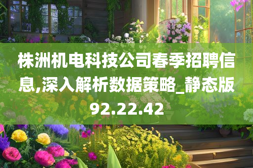 株洲机电科技公司春季招聘信息,深入解析数据策略_静态版92.22.42