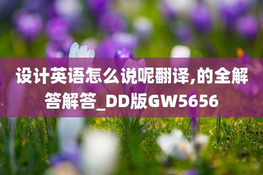 设计英语怎么说呢翻译,的全解答解答_DD版GW5656