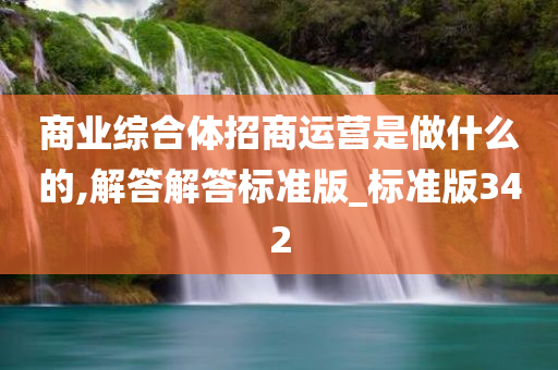 商业综合体招商运营是做什么的,解答解答标准版_标准版342