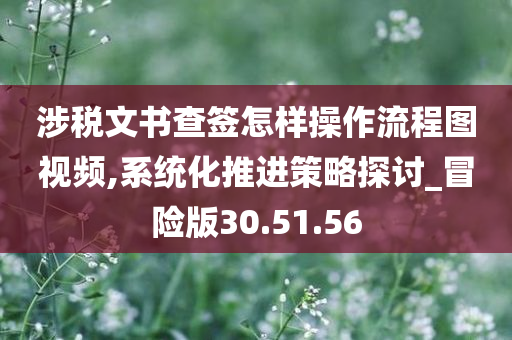 涉税文书查签怎样操作流程图视频,系统化推进策略探讨_冒险版30.51.56