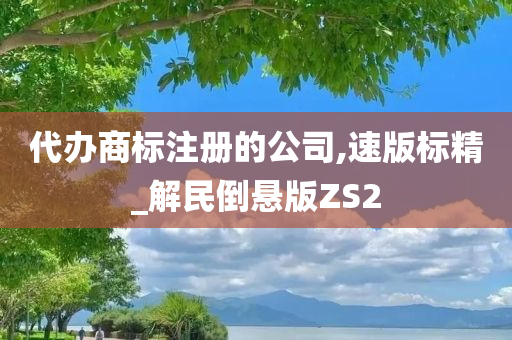 代办商标注册的公司,速版标精_解民倒悬版ZS2