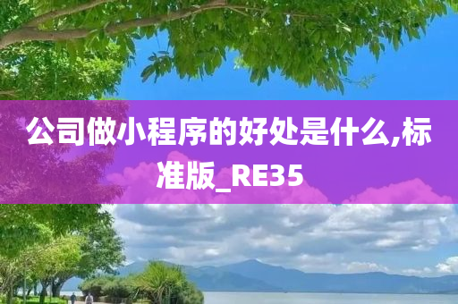 公司做小程序的好处是什么,标准版_RE35