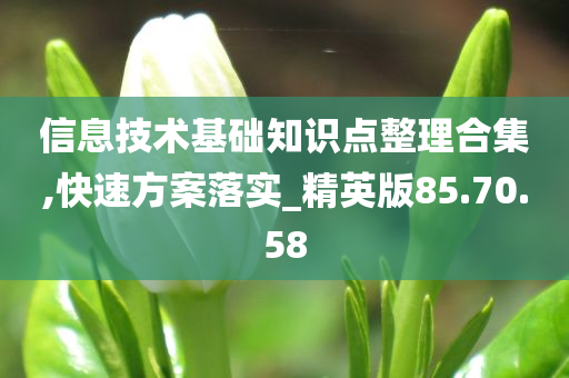 信息技术基础知识点整理合集,快速方案落实_精英版85.70.58