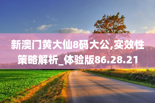 新澳门黄大仙8码大公,实效性策略解析_体验版86.28.21