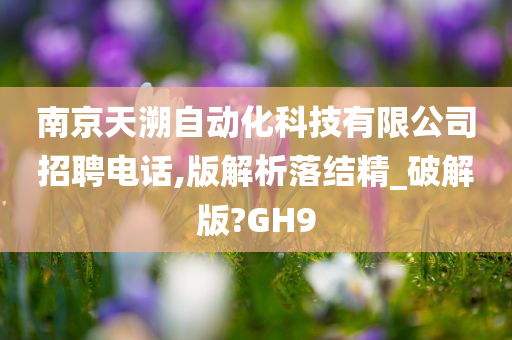 南京天溯自动化科技有限公司招聘电话,版解析落结精_破解版?GH9