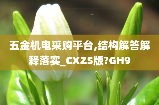 五金机电采购平台,结构解答解释落实_CXZS版?GH9