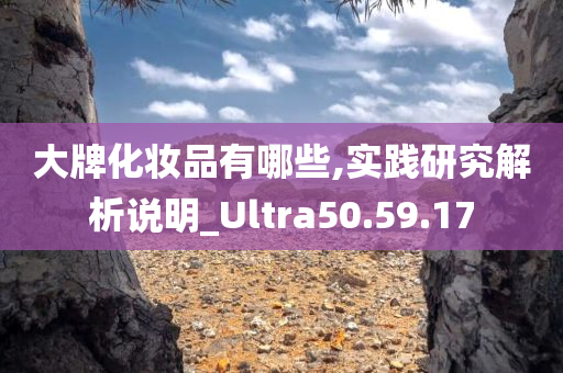 大牌化妆品有哪些,实践研究解析说明_Ultra50.59.17